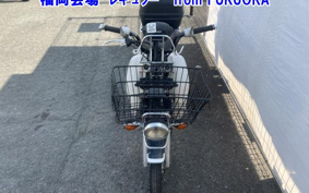 OTHER C110 PRO 