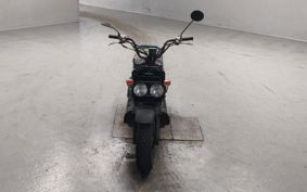 HONDA ZUMAR AF58
