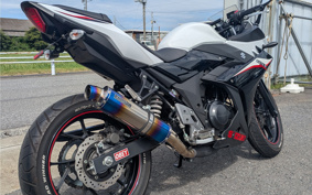 SUZUKI GSX250R DN11A