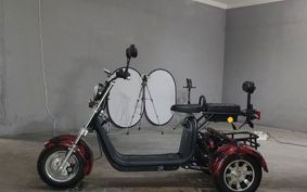 OTHER DENDOU TRIKE  ..