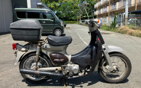 HONDA LITTLE CUB C50