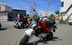 YAMAHA POCKET50 4U1