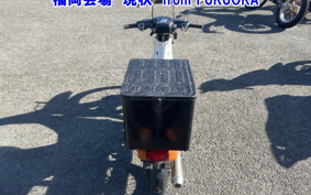 SUZUKI BIRDIE80
