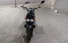 HONDA ZUMAR AF58