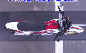 OTHER  SEROW 250-3