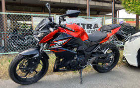 KAWASAKI Z250 ER250C