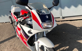 YAMAHA TZR50 4EU