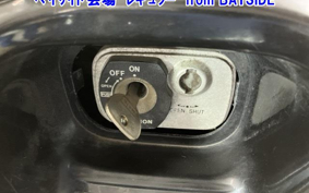 YAMAHA MAXAM250