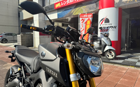 YAMAHA MT-09 2014 RN34J