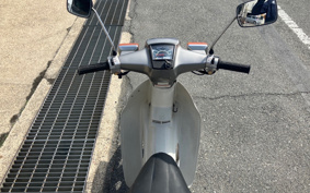 HONDA SUPER CUB50 C50