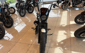 HARLEY  HARLEY XL1200NS 2019 LP3