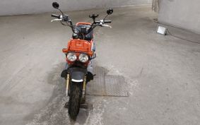 HONDA ZUMAR AF58