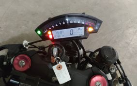 KAWASAKI ZX 10 NINJA RR ZXT00Z