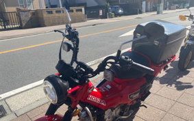HONDA CT125 HUNTER  CUB  JA55
