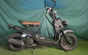 HONDA ZUMAR AF58