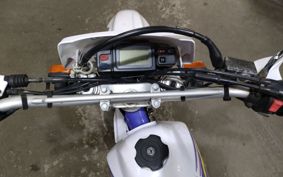 YAMAHA TT250R 4GY