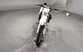 YAMAHA WR250R DG15J