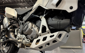 DUCATI  DUCATI  DESERT X 2024