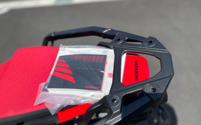 HONDA CRF1100L DCT 2024 SD10