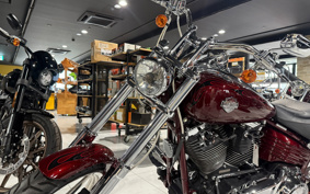 HARLEY  HARLEY FXCWC 2008 JK5