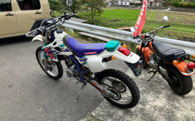 KAWASAKI KLX250 ES Type LX250E