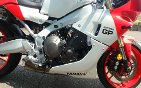 YAMAHA XSR900 GP 2025 RN96J