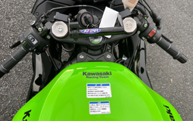 KAWASAKI NINJA ZX-6R 2019 ZX636G