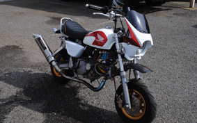 HONDA MONKEY Z50J