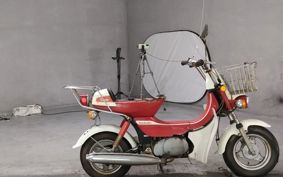 SUZUKI LANDY FM50