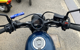 HONDA  REBEL 250 ABS MC49