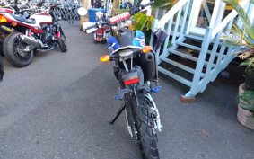 YAMAHA WR250R DG15J