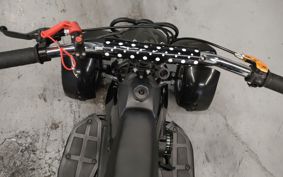 OTHER  BUGGY 50CC ..