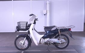 OTHER C110PU LOW 2