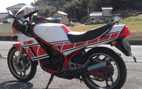 YAMAHA RZ250RR 29L