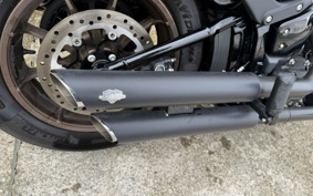 HARLEY  HARLEY FXLRS 2021 YWK