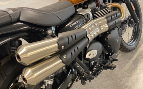 TRIUMPH  TRIUMPH  SCRAMBLER  STEREO RUSUED 2024 DAD78G