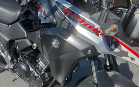 SUZUKI STROM 250ABS DS11A