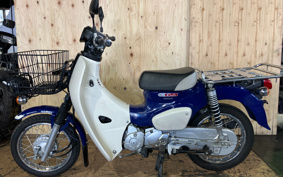HONDA SUPER CUB110 JA42