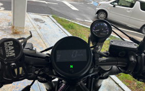 HONDA REBEL MC49