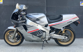YAMAHA FZR1000 1989 3LJT