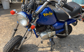 YAMAHA POCKET50 4U1