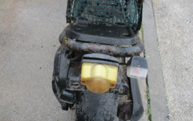 HONDA ZUMAR AF58