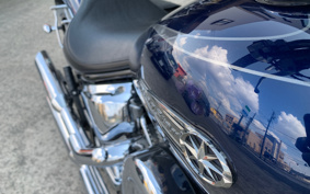 YAMAHA DRAGSTAR1100 2009 VP13J