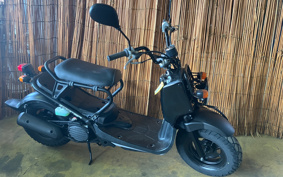 HONDA ZUMAR AF58