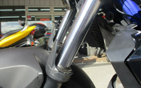 YAMAHA MT-25 RG43J