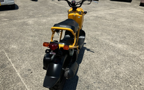 HONDA ZUMAR AF58