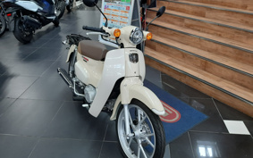 HONDA SUPER CUB110 JA59