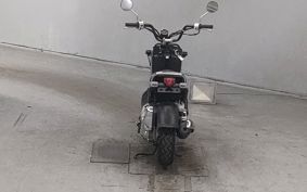 HONDA ZUMAR AF58