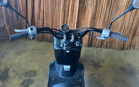 HONDA ZUMAR AF58