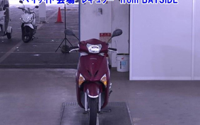 OTHER  LEAD 110EX